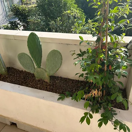 Tra Mare E Templi - Paestum Appartamento Capaccio